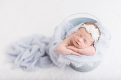 top tampa newborn photography